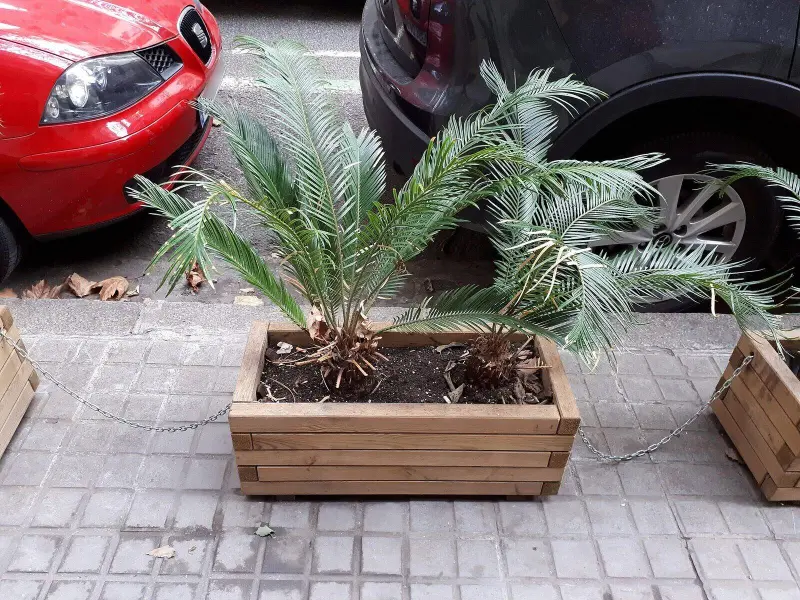 Make a Rolling Cedar Planter From Fence Pickets (Full Cut List)